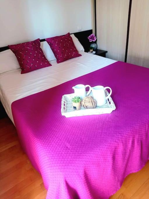 Acogedor Apartamento Con Piscina Y Garaje Apartment Huesca Exterior foto